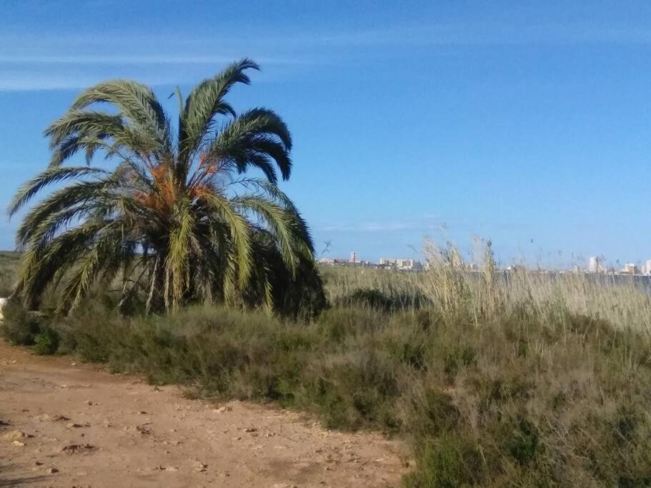 Nice Apartment On The Coast To Relax And Work Cartagena Exteriör bild